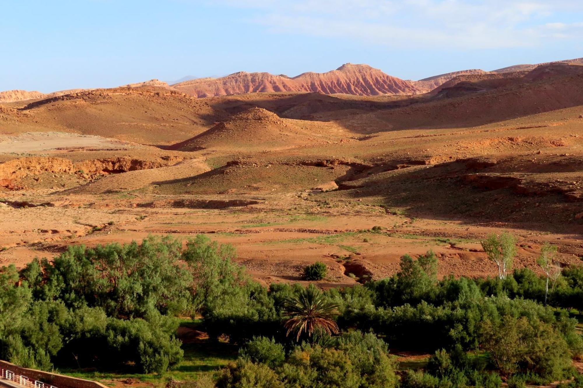 Tigmi Hamid Decouverte Des Traditions Et De La Culture Berbere Ait Benhaddou Esterno foto